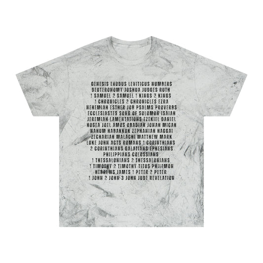 sixty-six books | color blast tee