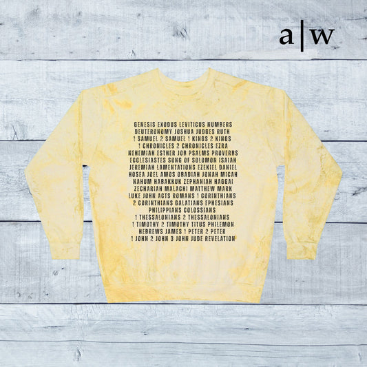 sixty-six books | color blast crewneck