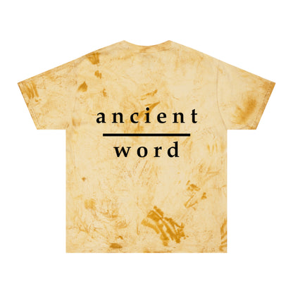 good news | color blast tee