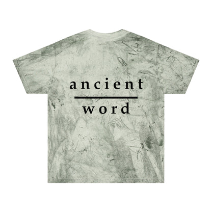 good news | color blast tee