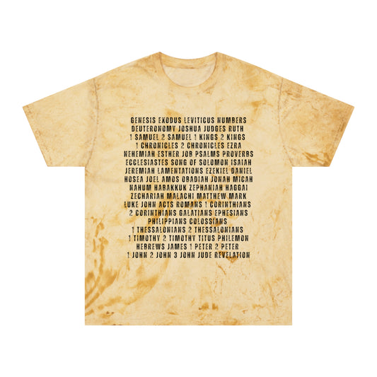 sixty-six books | color blast tee
