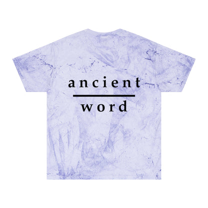 good news | color blast tee