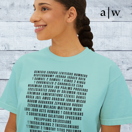 sixty-six books | women's boxy tee